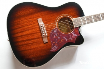 LTD HUMMINGBIRD PRO